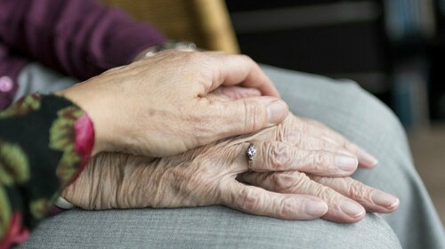 Les services à la personne de la Communauté des communes Dômes Sancy Artense