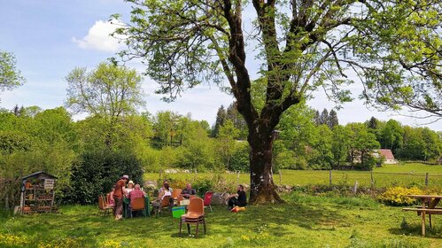 Jardin, verger et biodiversité à Bagnols