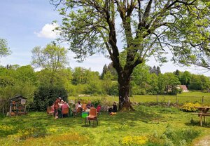 Jardin, verger et biodiversité à Bagnols